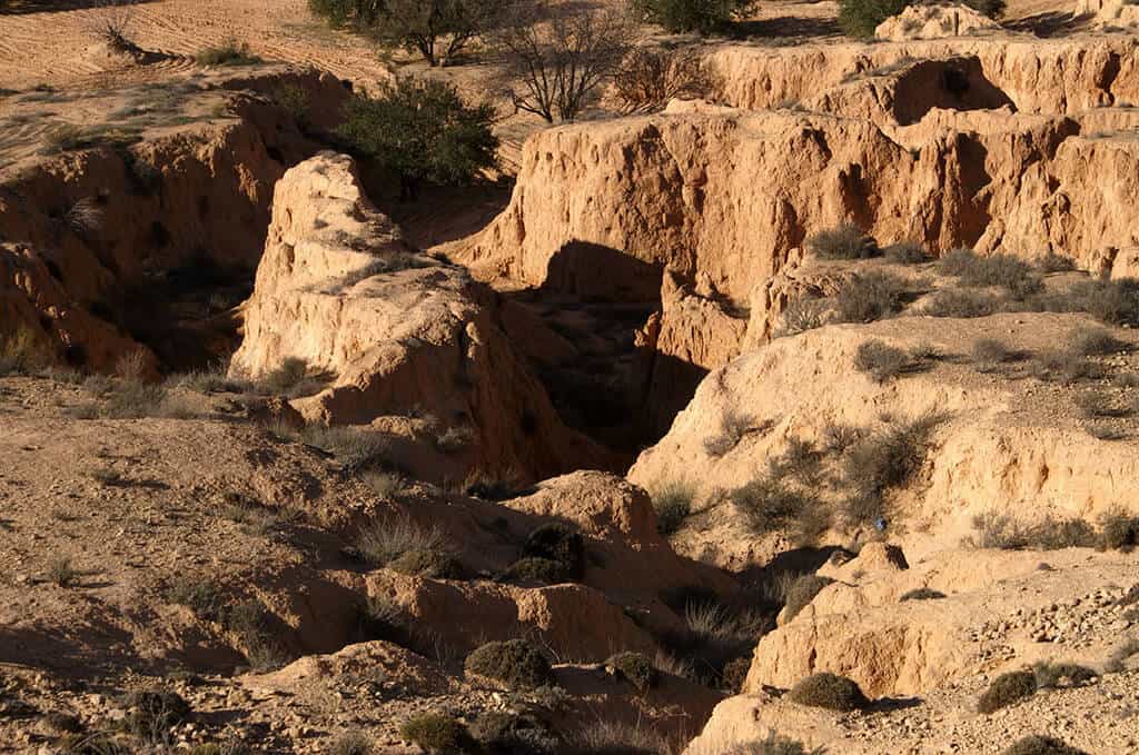 desert-tunisie