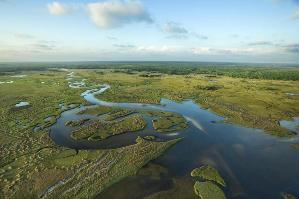 everglades-miami