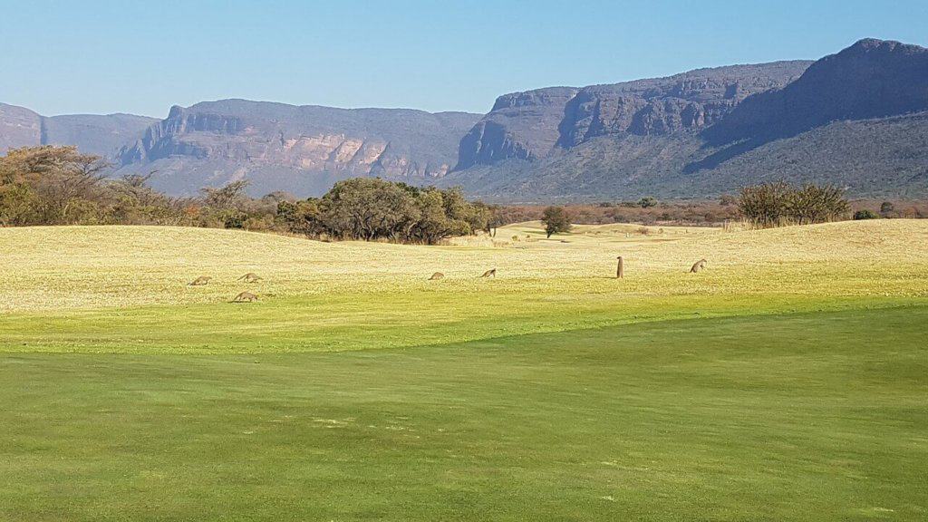 golf-afrique-du-sud