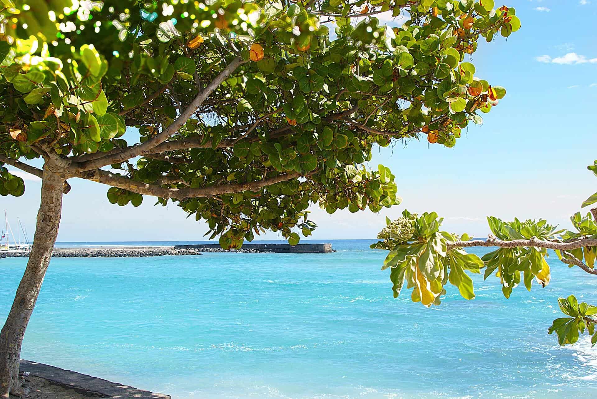 plage ile de la reunion