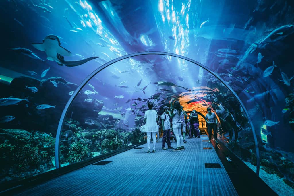 aquarium dubaï