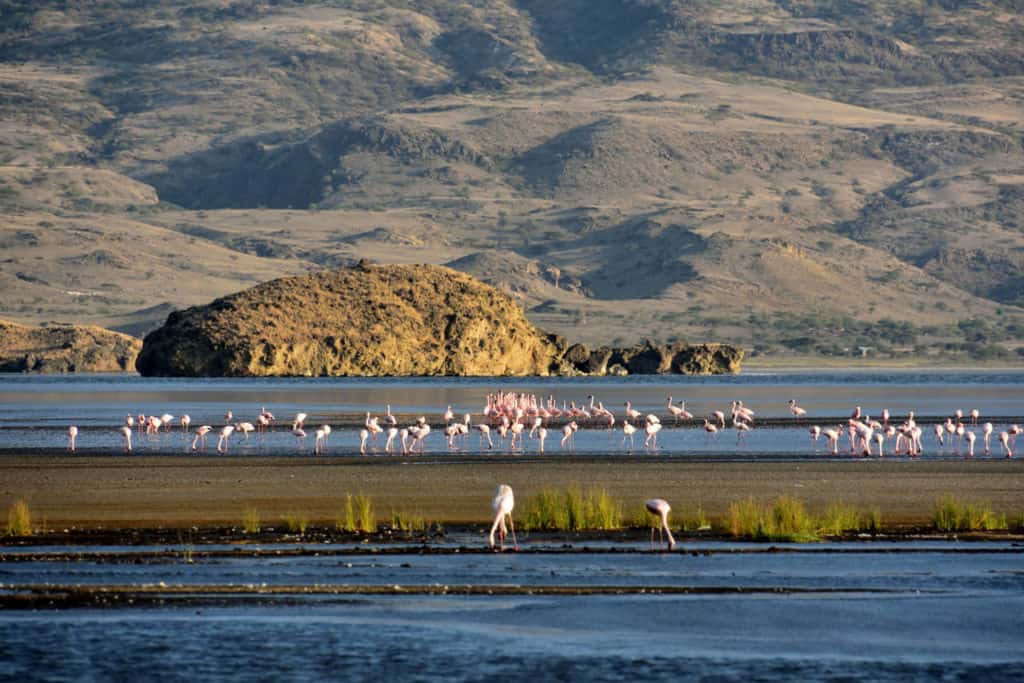 lac-natron-tanzanie