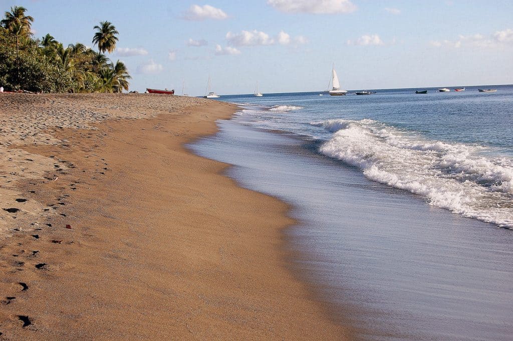 location voiture martinique