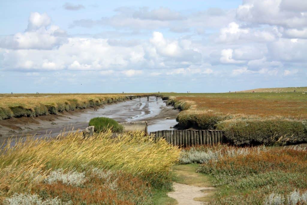 marais salant vendee