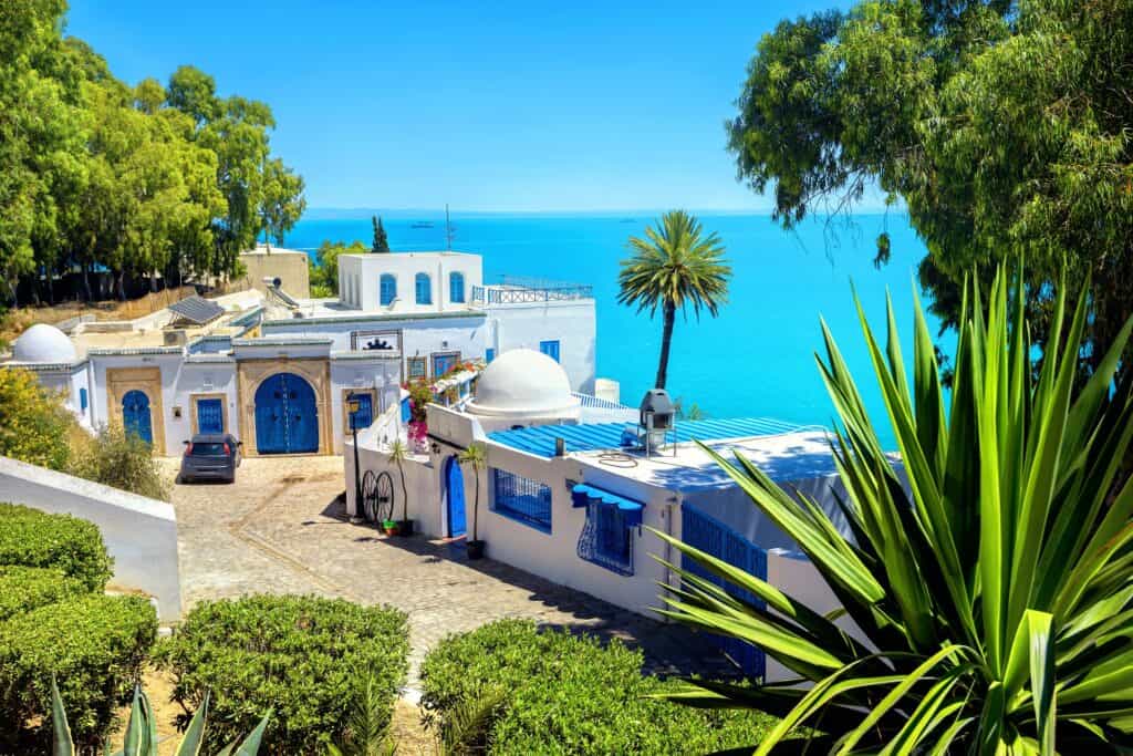 sidi bou said