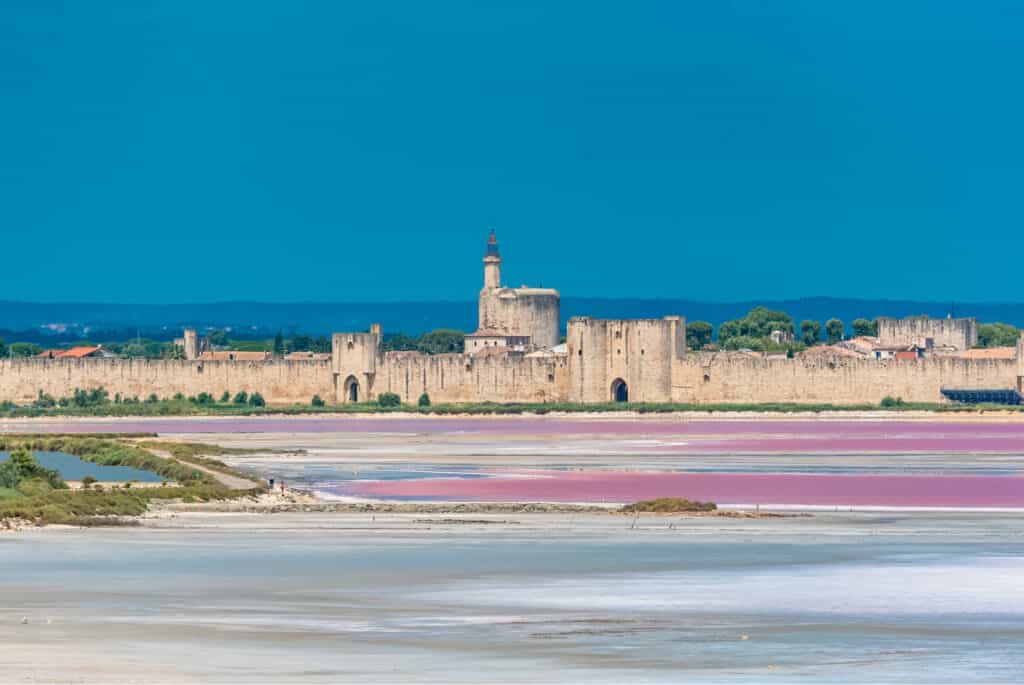 camargue france