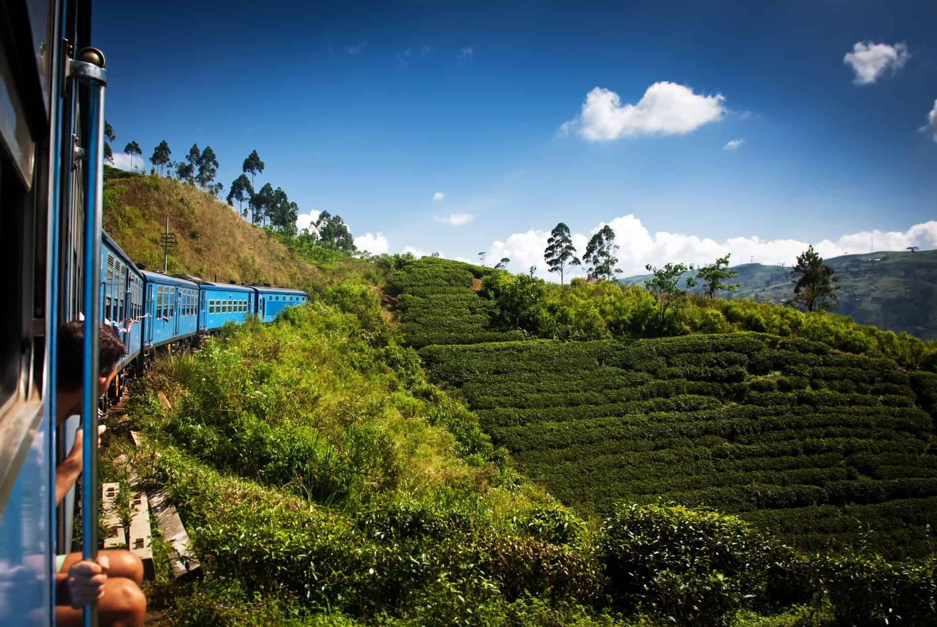 plantations kandy